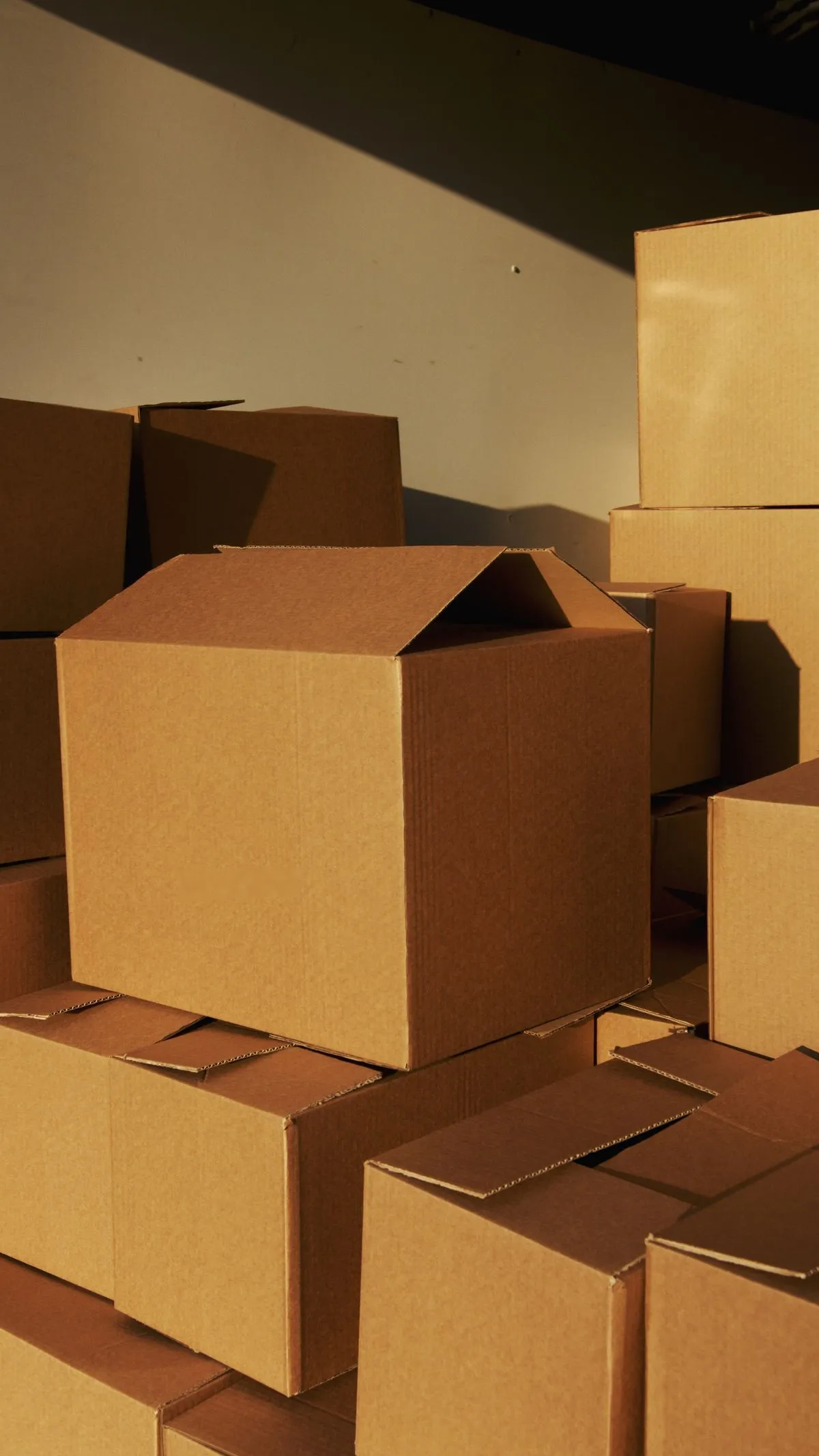 Packaged goods ready for branding and dispatch
